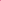 Maple & Raspberry Energy Gels – Box of 24