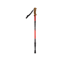 Easy Trail Hiking Poles