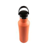 Insulated Stainless Steel Bottle With Carrying Handle - 530ml