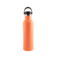 Insulated Stainless Steel Bottle With Carrying Handle - 530ml