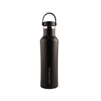 Insulated Stainless Steel Bottle With Carrying Handle - 530ml