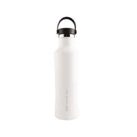 Insulated Stainless Steel Bottle With Carrying Handle - 530ml
