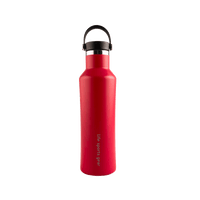 Insulated Stainless Steel Bottle With Carrying Handle - 530ml