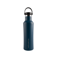 Insulated Stainless Steel Bottle With Carrying Handle - 530ml
