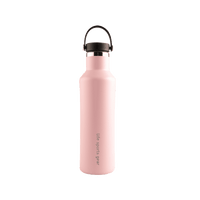 Insulated Stainless Steel Bottle With Carrying Handle - 530ml