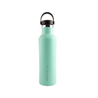 Insulated Stainless Steel Bottle With Carrying Handle - 530ml