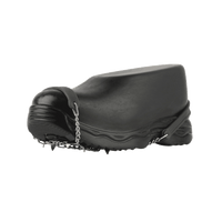 Spike Urban Crampons