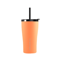 Insulated Stainless Steel Tumbler With Straw - 530ml