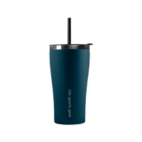Insulated Stainless Steel Tumbler With Straw - 530ml